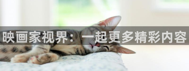 放牛班的春天星辰影院