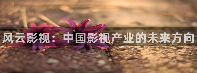 难哄电视剧在线观看星辰影院