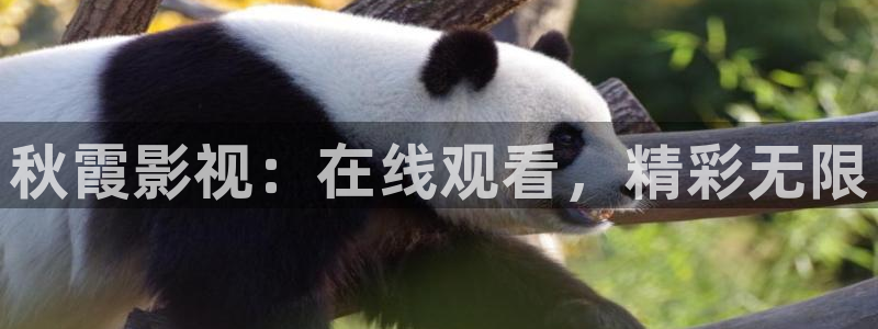 纪晓岚第一部星辰影院